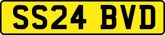 SS24BVD