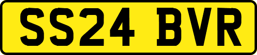 SS24BVR