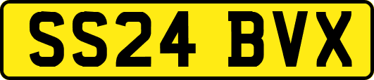 SS24BVX