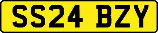 SS24BZY