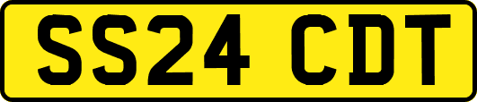 SS24CDT