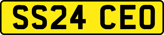 SS24CEO
