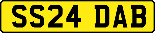 SS24DAB