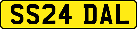 SS24DAL