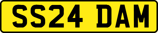 SS24DAM
