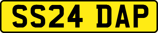 SS24DAP