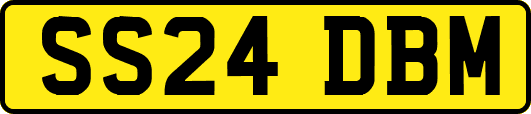 SS24DBM