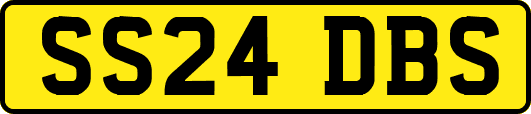 SS24DBS