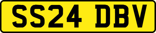 SS24DBV