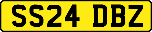 SS24DBZ