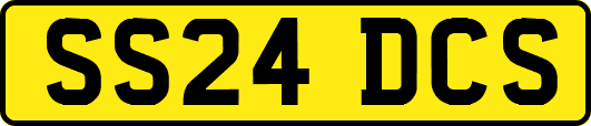 SS24DCS