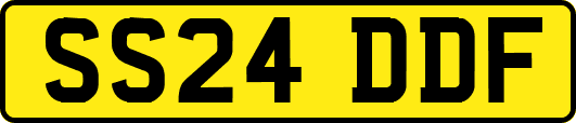 SS24DDF