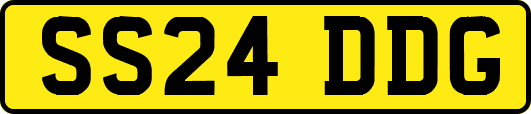SS24DDG