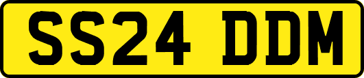 SS24DDM