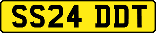 SS24DDT