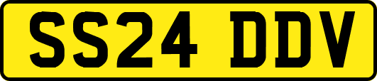 SS24DDV