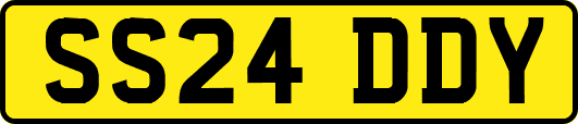 SS24DDY