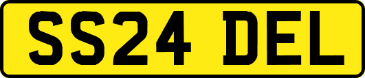 SS24DEL