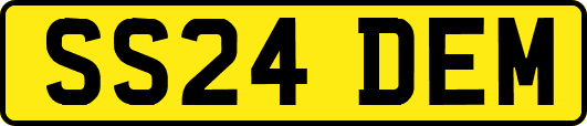 SS24DEM
