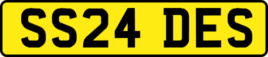 SS24DES