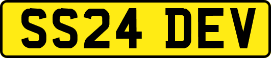 SS24DEV