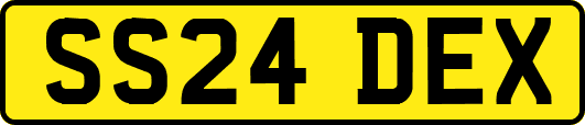 SS24DEX