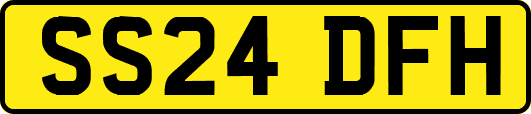 SS24DFH