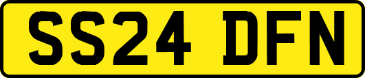 SS24DFN
