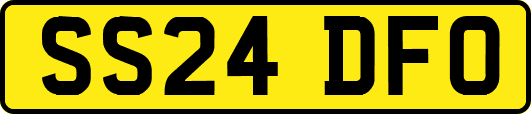 SS24DFO