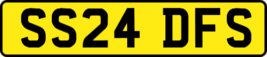 SS24DFS