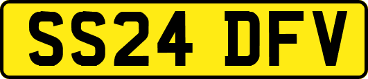 SS24DFV