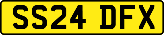 SS24DFX