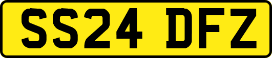 SS24DFZ