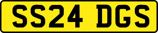 SS24DGS