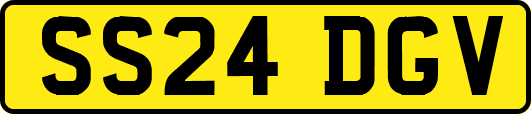 SS24DGV