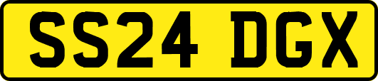 SS24DGX