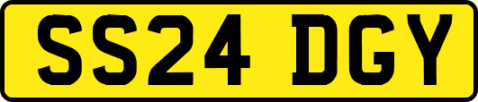 SS24DGY