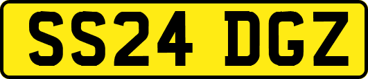 SS24DGZ