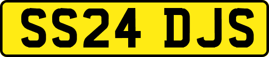 SS24DJS