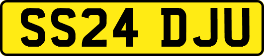 SS24DJU