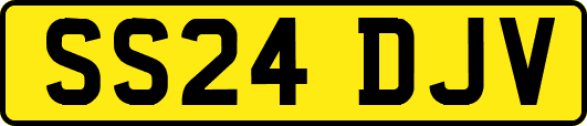 SS24DJV