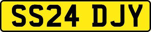 SS24DJY