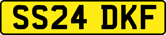 SS24DKF