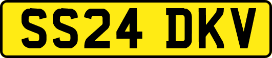 SS24DKV