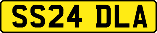 SS24DLA