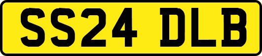 SS24DLB