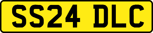 SS24DLC