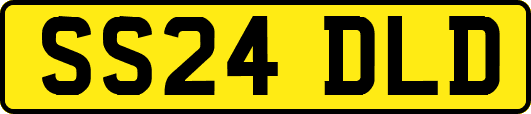SS24DLD