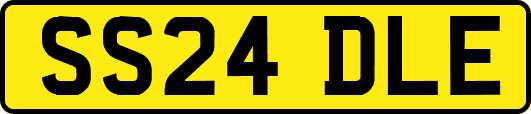 SS24DLE