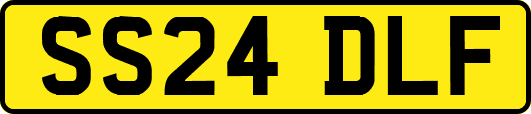 SS24DLF